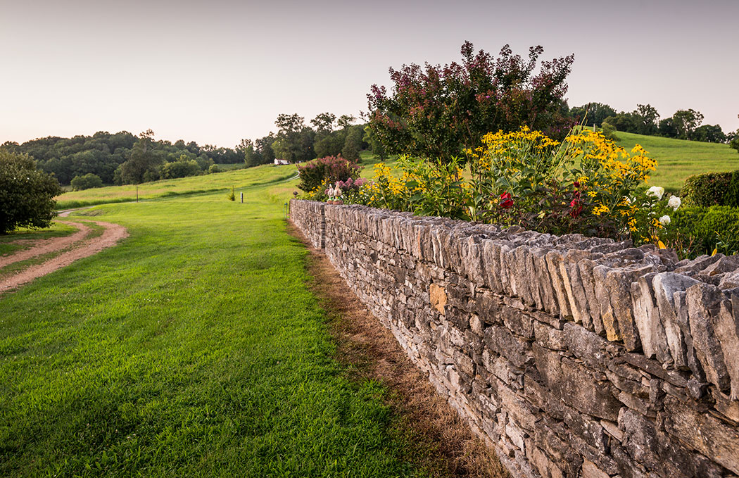 Celebrating a Southern Garden